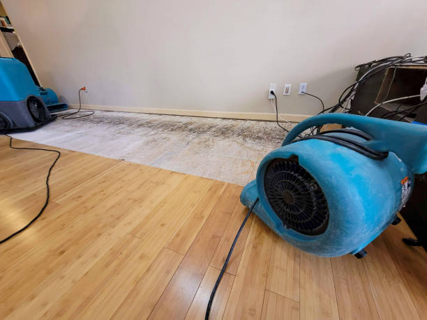 Professional Structural Drying technician working in Newton, NC